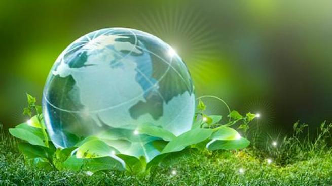 sustainable globe